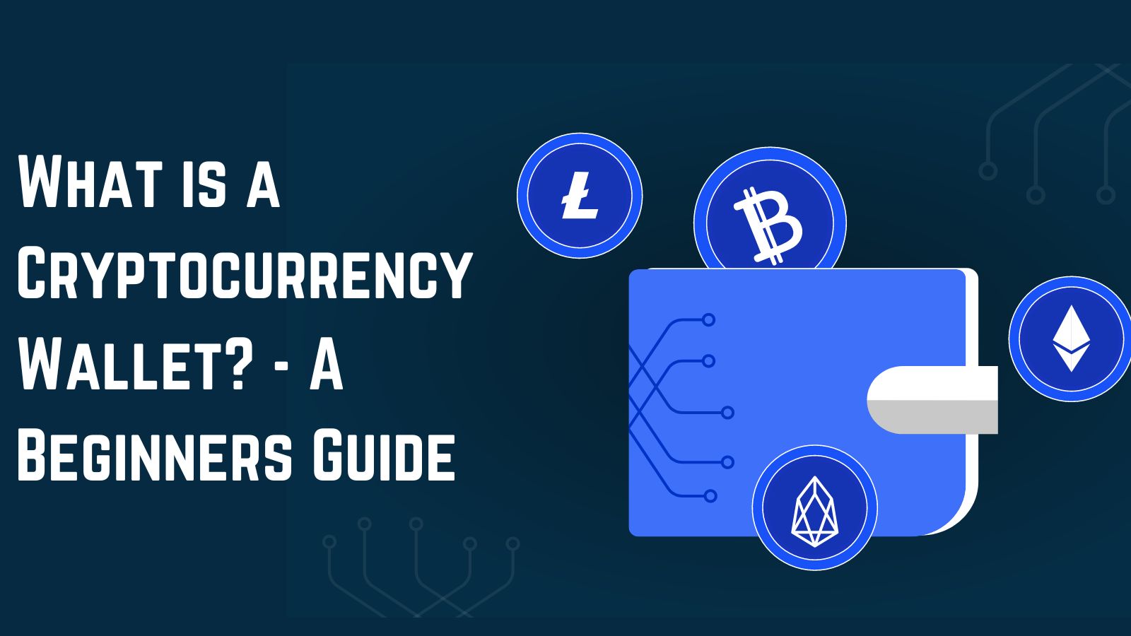 What is a Cryptocurrency Wallet? - A Beginners Guide