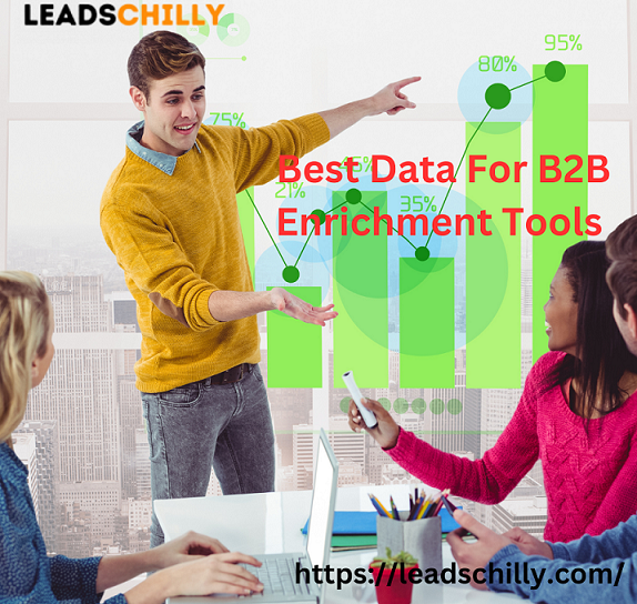 Enhance Your Data with Lead Chilly: Unleashing the Power of Data Enrichment Tools