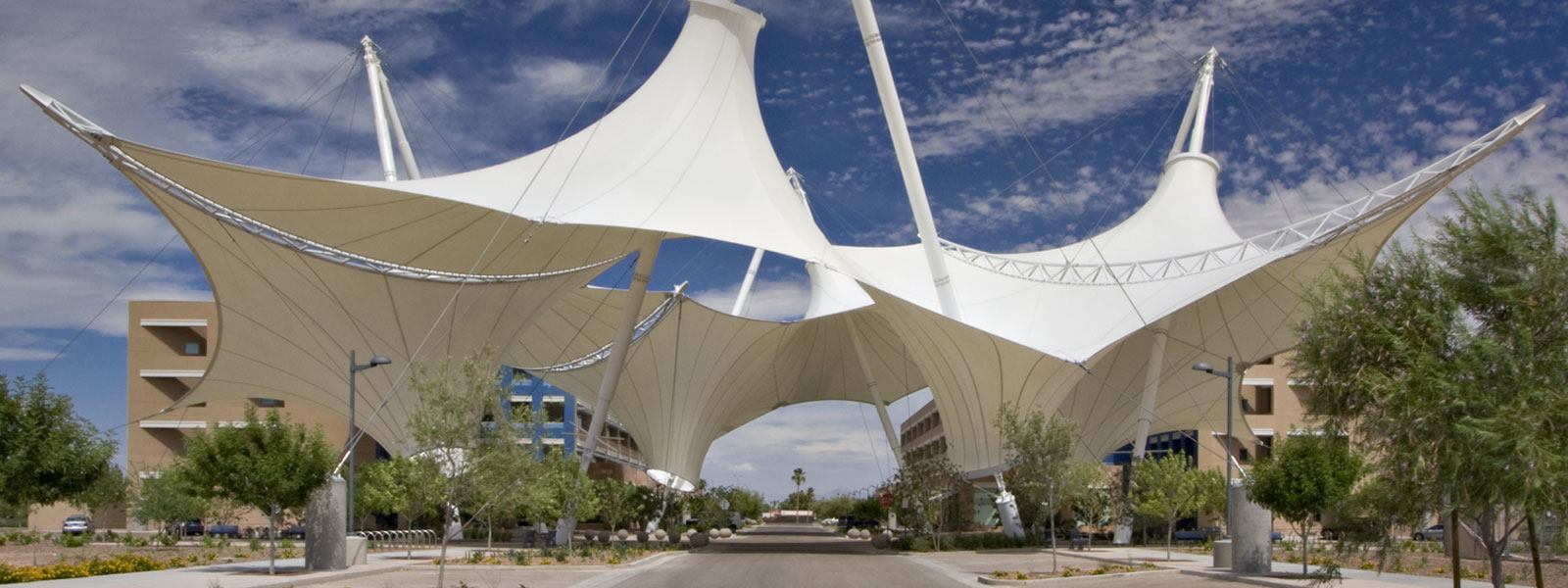 How to Choose the Right Tensile Structure for Your Needs