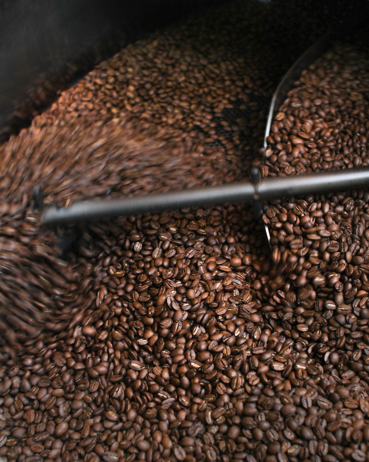 Unveiling the Ultimate Aroma: Exploring the Richness of Fresh Coffee Beans in Brisbane