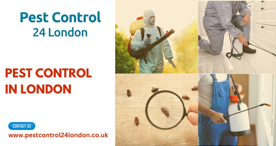 A Comprehensive Guide to Pest Control in London, Including Emergency Pest Control in Ealing