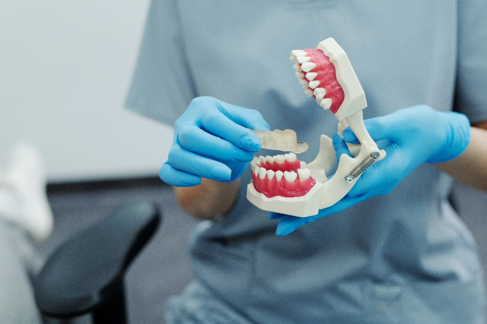 Person in scrubs holding a teeth model