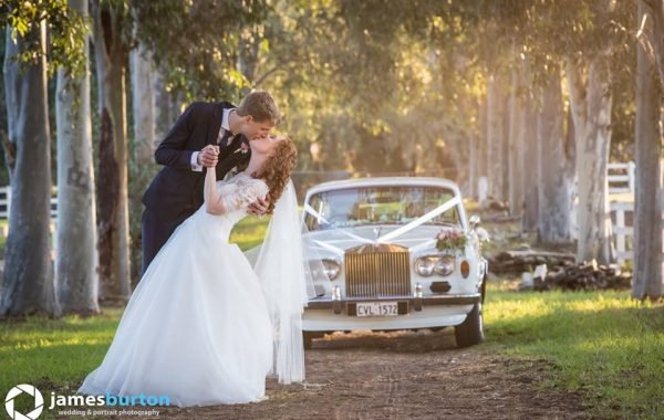 An overview of renting limousines for wedding events