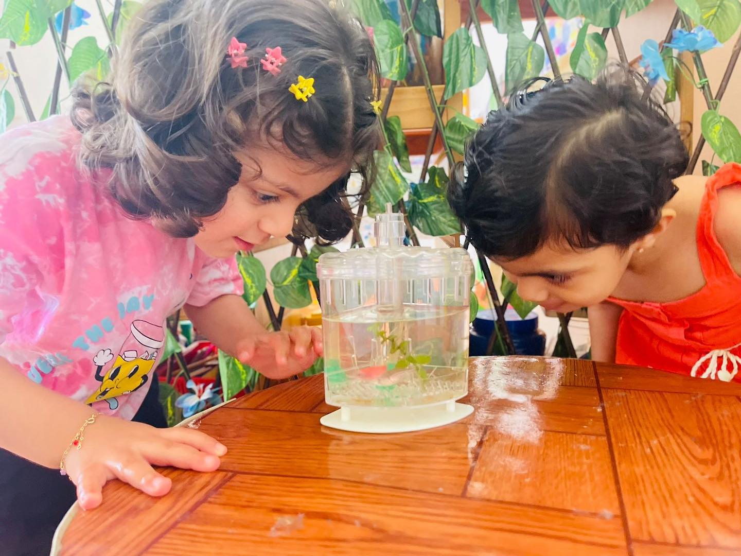 Embracing Nature's Classroom: How Outdoor Play Nurtures Children's Growth