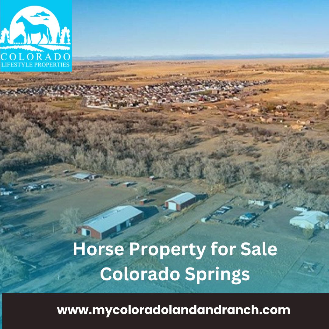 Colorado Horse Properties Helps in Taking Proper Care of your Horses