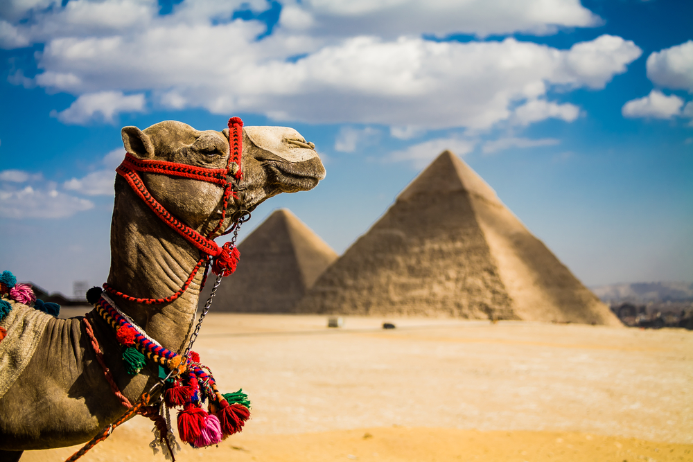 Unveiling Splendors: A Comprehensive Guide to Enjoying a Holiday in Egypt