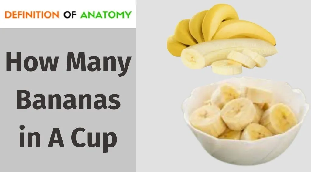 Bananas in a cup, how many?