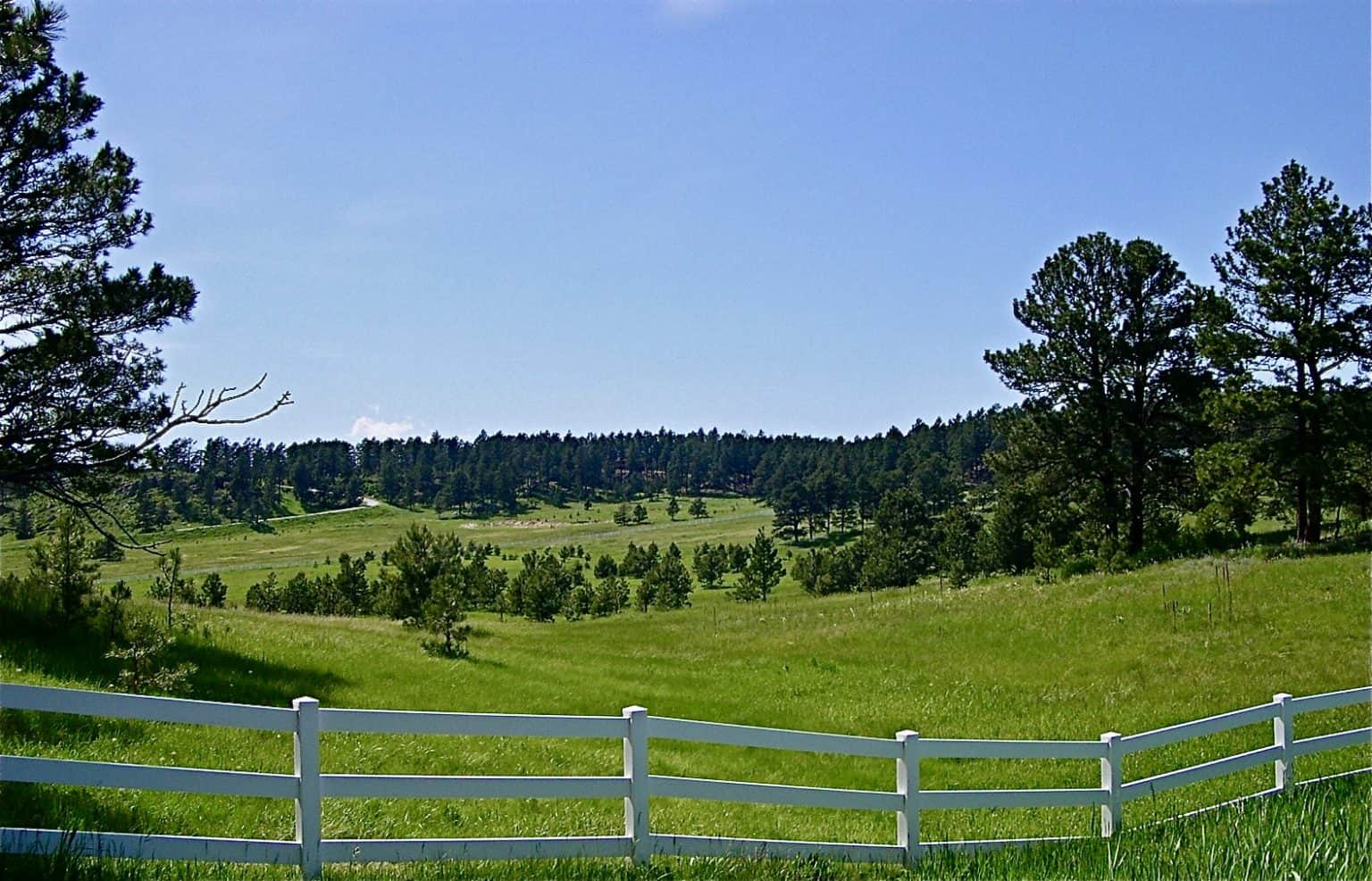 Things to Know Before Buying a Horse Property