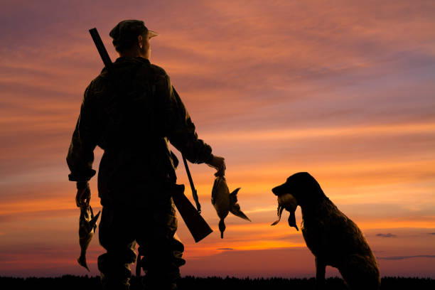Fly Out on an Amazing Guided Duck Hunt Adventure with Wings Over Colorado