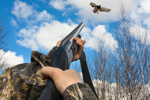 Fly Out on an Amazing Guided Duck Hunt Adventure with Wings Over Colorado