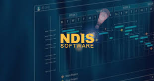 Empowering Small NDIS Providers: Leveraging NDIS Software and Support Coordination Training
