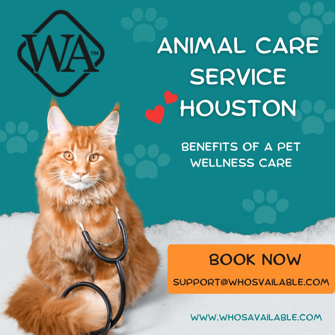 Animal Care Service Houston – Benefits of a Pet Wellness Care 