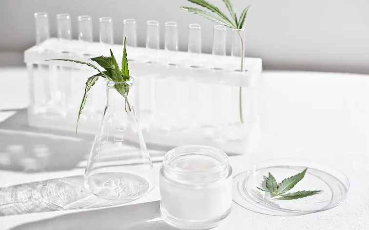 What Should You Look for When Choosing Infusion Cannabidiol Products?