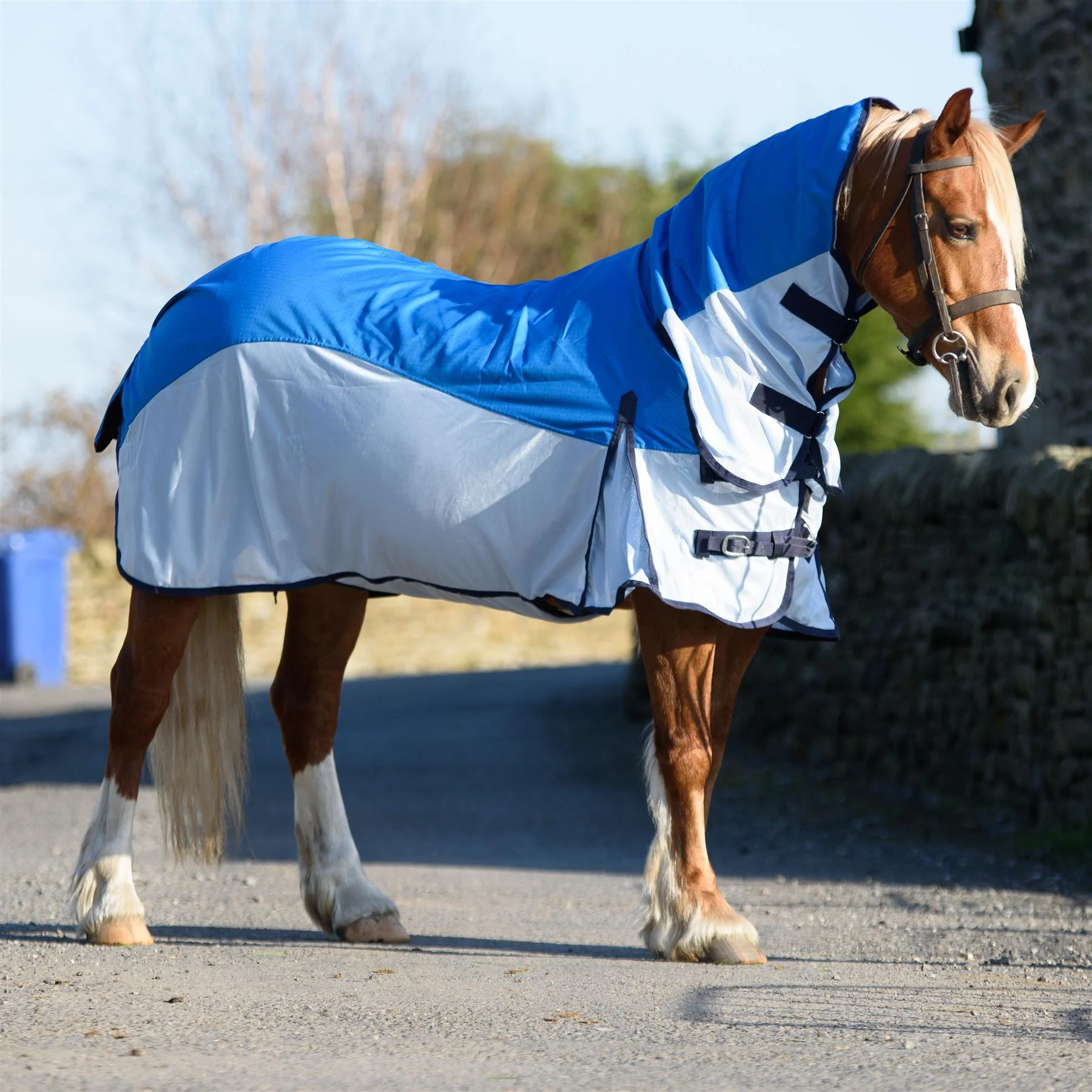 No-Fill Turnout Rugs vs. Traditional Rugs: Which Is Right for Your Horse?