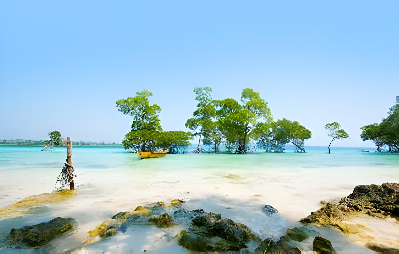Explore Paradise: 7 Best Things to Do in Andaman in 2024