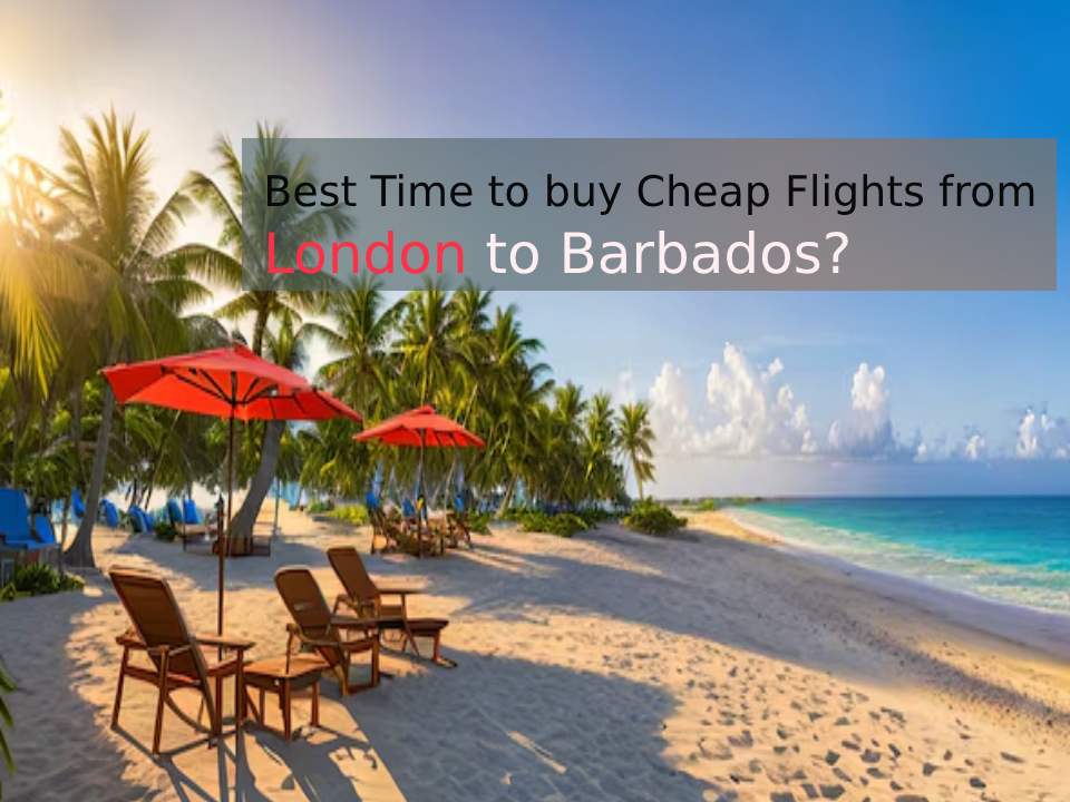 When is the Best Time to buy Cheap Flights from London to Barbados? | TheAmberPost